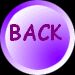 purpleback.jpg (2278 bytes)